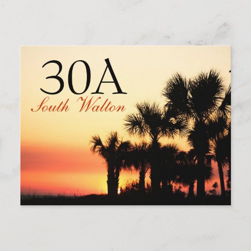 30A _ South Walton Palm Tree Sunset Postcard