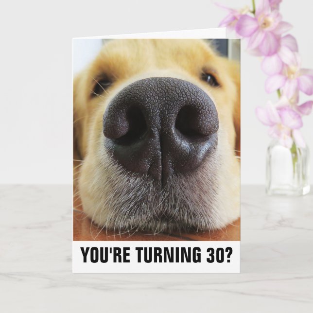 Nephew 30th Birthday Card Nephew 30th Birthday Cards Nephew 30th - View #6