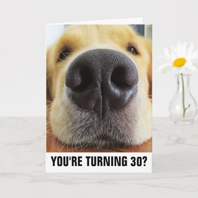 Nephew 30th Birthday Card Nephew 30th Birthday Cards Nephew 30th - View #11