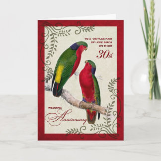 30th Wedding Anniversary Vintage Lorikeet Parrots Card