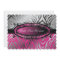311-C'est Luxueux | Hot  Pink Zebra | Sweet 16