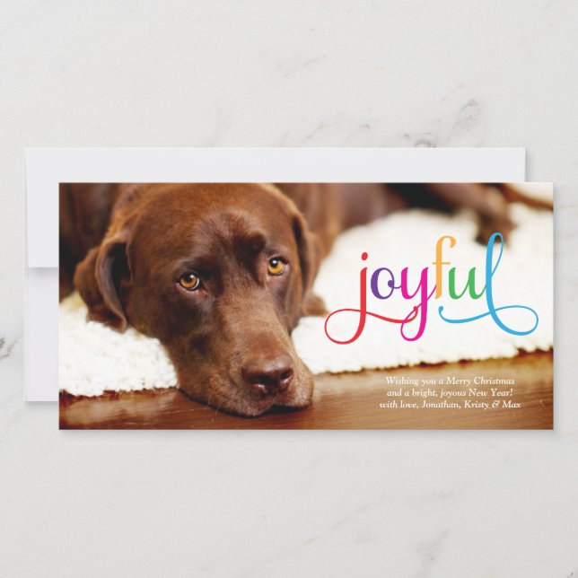 311 Colorful Joyful Pet Christmas Card (Front)