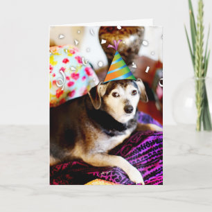 311 I Retired! I could just pee with excitement Card