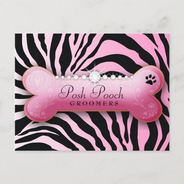 311 Posh Pooch Pink Zebra Postcard (Front)
