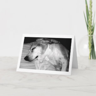 311 Retirement Rocks Card