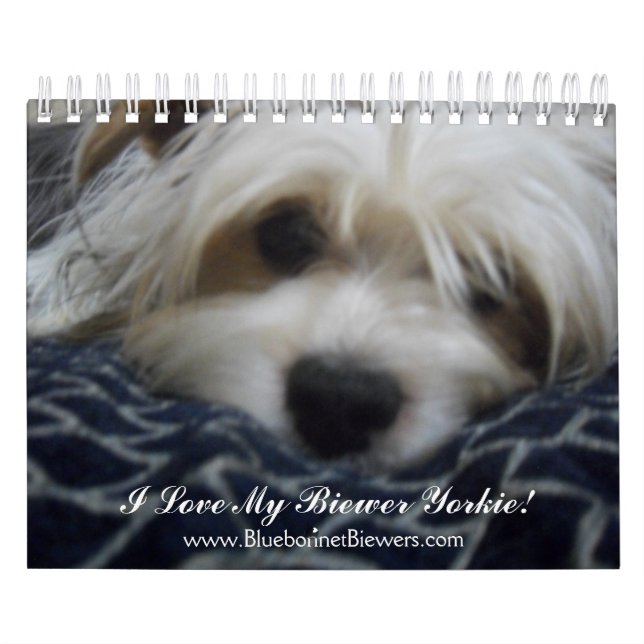 318, www.BluebonnetBiewers.com, I Love My Biewe... Calendar (Cover)