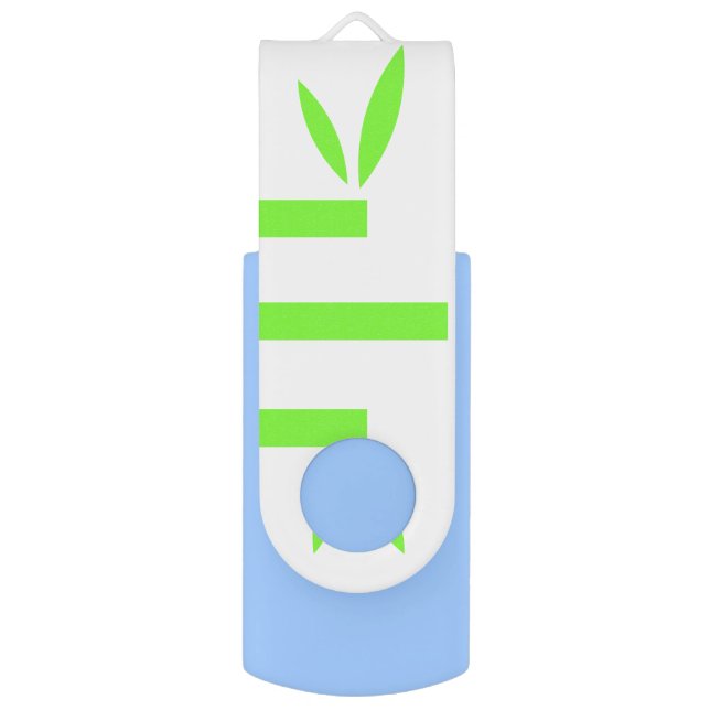 32 GB USB drive (Back (Vertical))