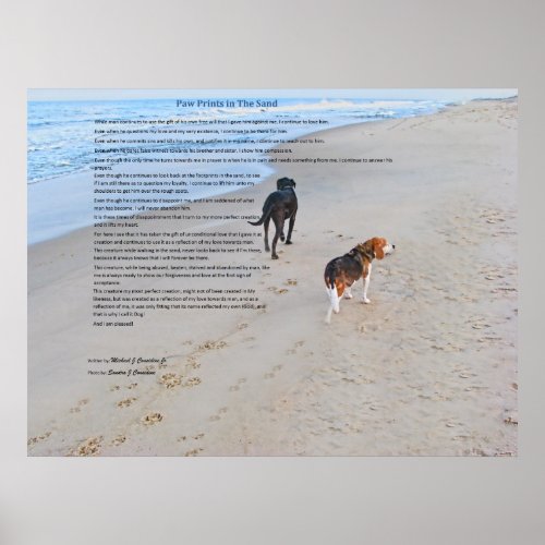 32 x 24  Paw Prints in The Sand Poster