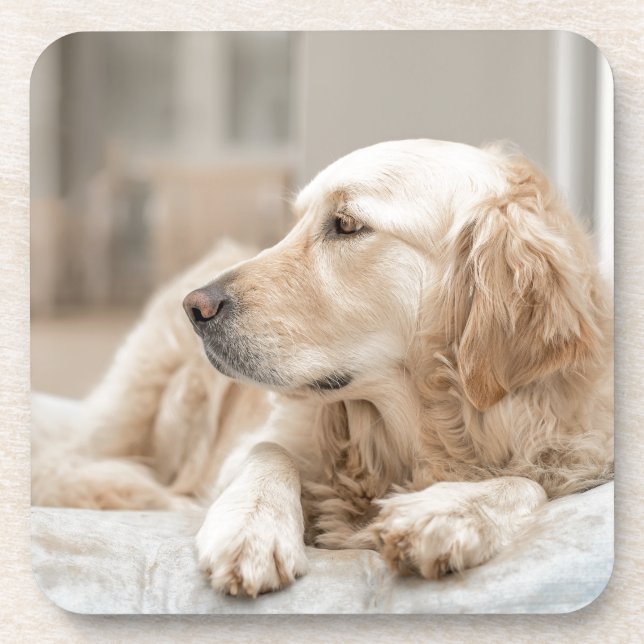 34137641_xxl beverage coaster (Front)