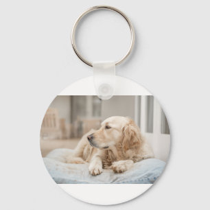 34137641_xxl keychain