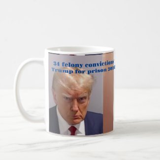 34 felony convictions! Trump for prison 2024!