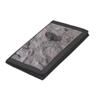 350 Million Year Old Plant Fossil Printed Tri-fold Wallet