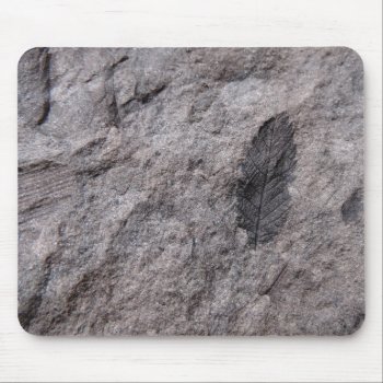 350 Million Yr. Old Plant Fossil Photo Print Mouse Pad by ScrdBlueCollectibles at Zazzle