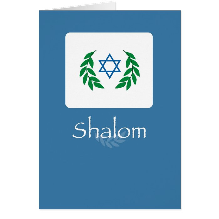 3564 Passover Shalom Greeting Cards