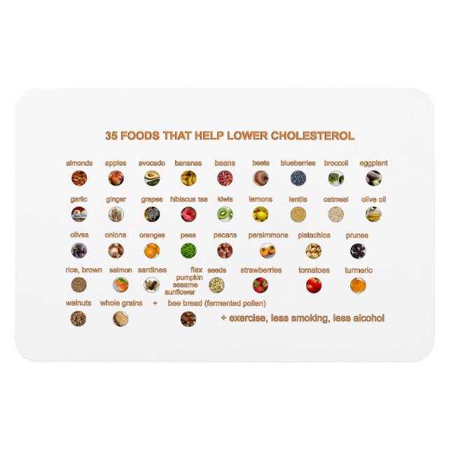 35 Foods that help lower cholesterol naturally Magnet (Horizontal)
