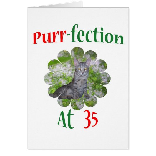 35 Purr-fection Cards (Front)