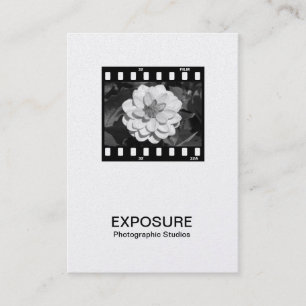 35mm Film Frame 01 (Platinum) Business Card