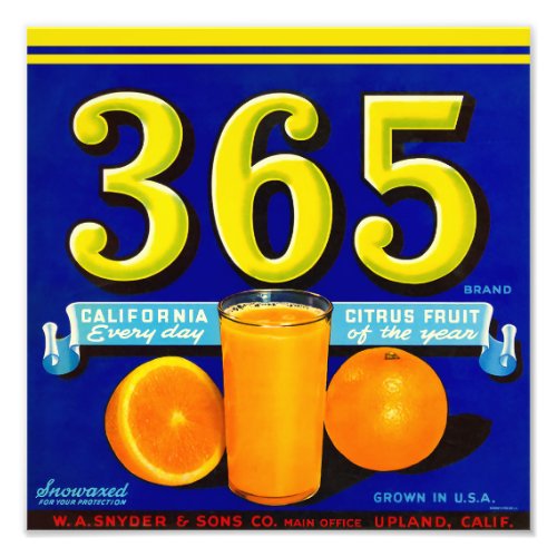 365 Oranges packing label Photo Print