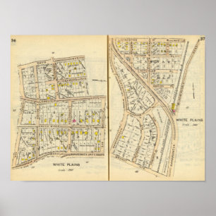 36-37 White Plains Poster