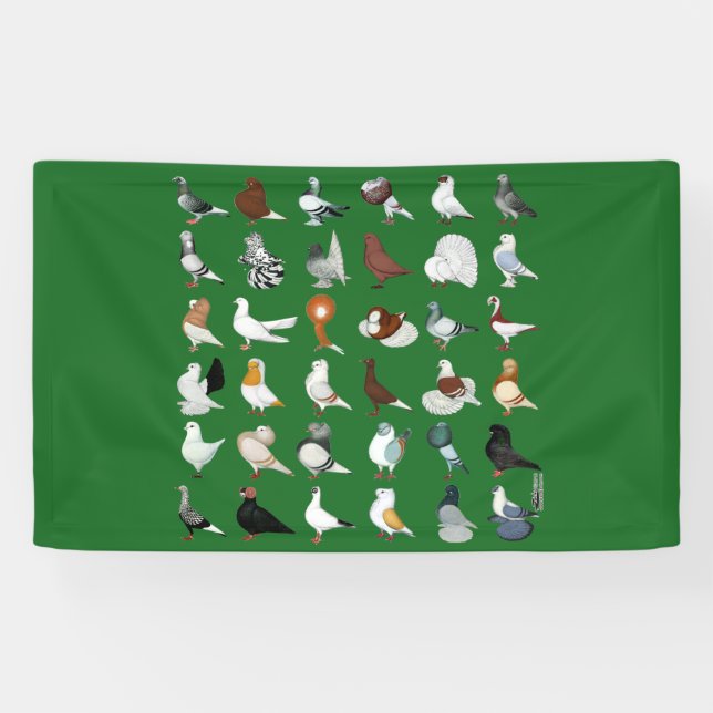 36 Pigeon Breeds Banner (Horizontal)