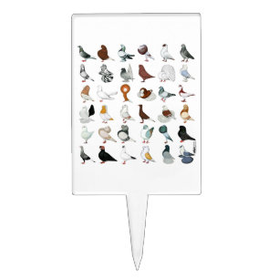 36 Pigeon Breeds Cake Topper