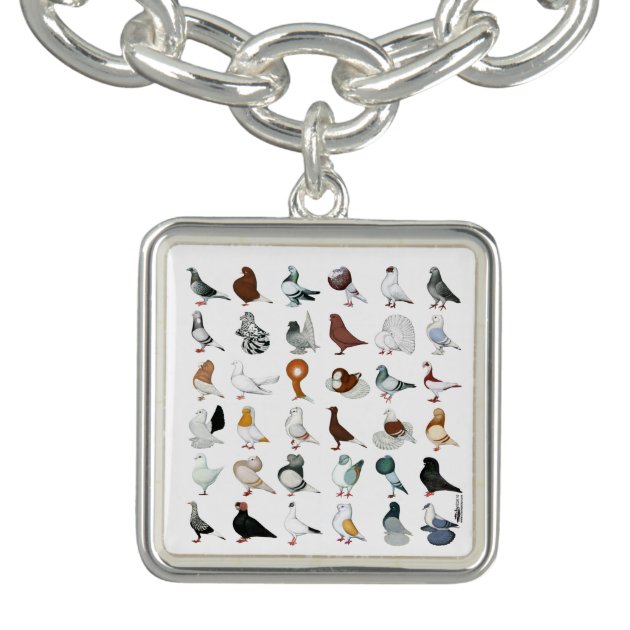 36 Pigeon Breeds Charm Bracelet | Zazzle