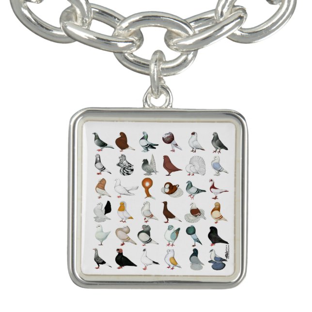36 Pigeon Breeds Charm Bracelet (Design)
