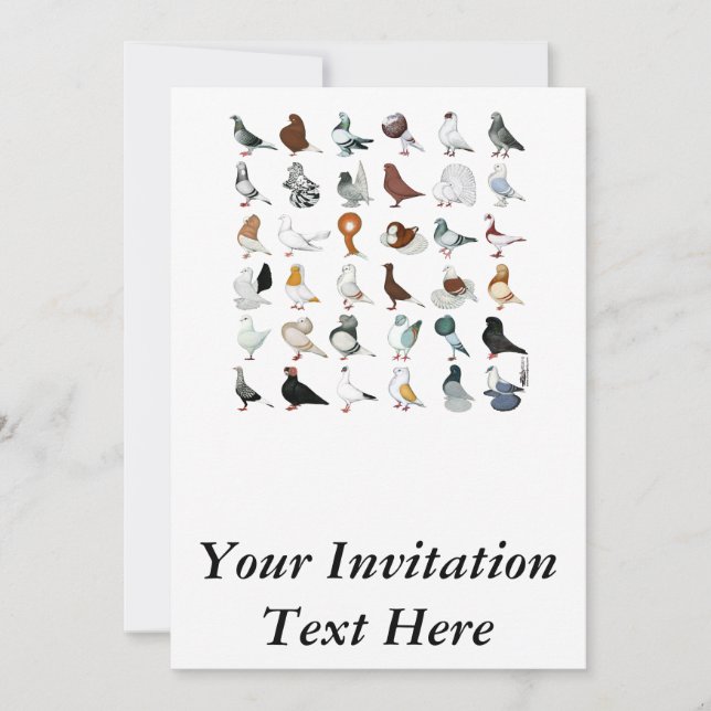 36 Pigeon Breeds Invitation (Front)