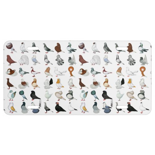 36 Pigeon Breeds License Plate