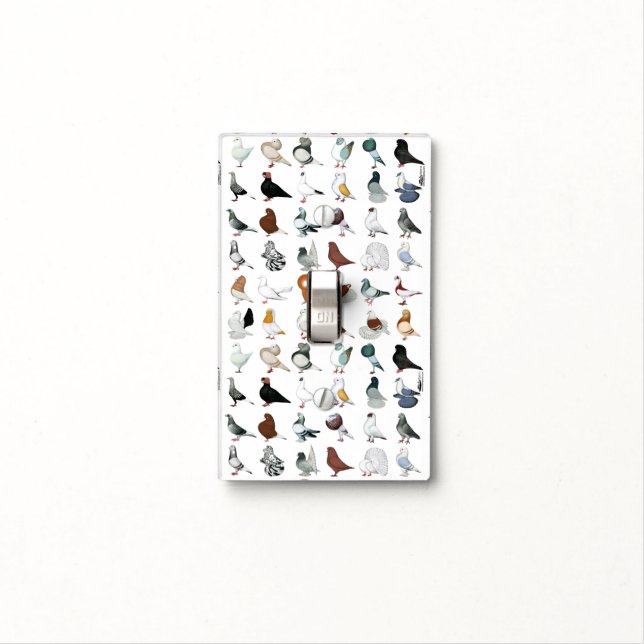 36 Pigeon Breeds Light Switch Cover (In Situ)