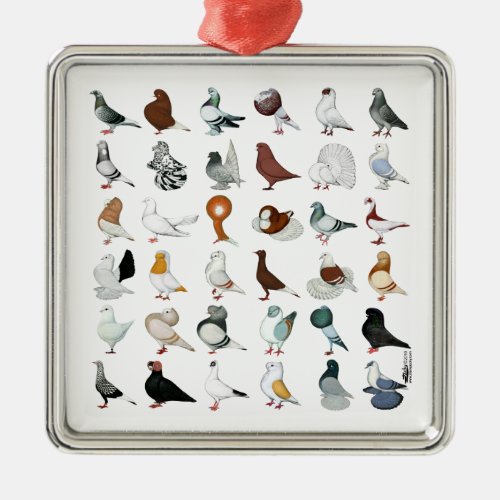 36 Pigeon Breeds Metal Ornament
