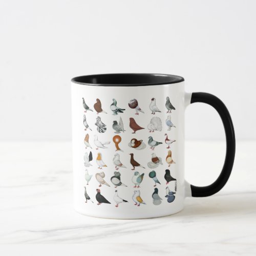 36 Pigeon Breeds Mug
