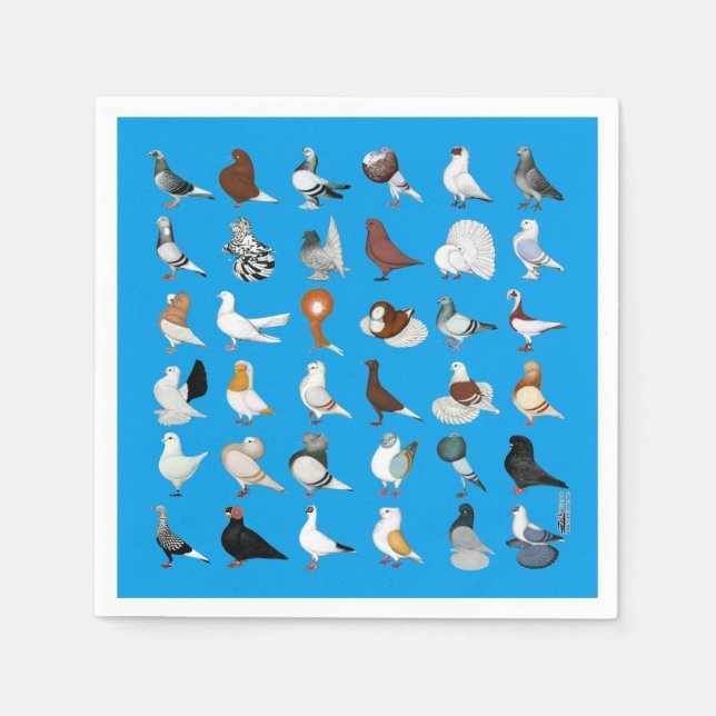 36 Pigeon Breeds Napkins (Front)