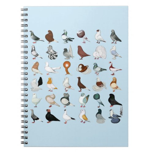 36 Pigeon Breeds Notebook