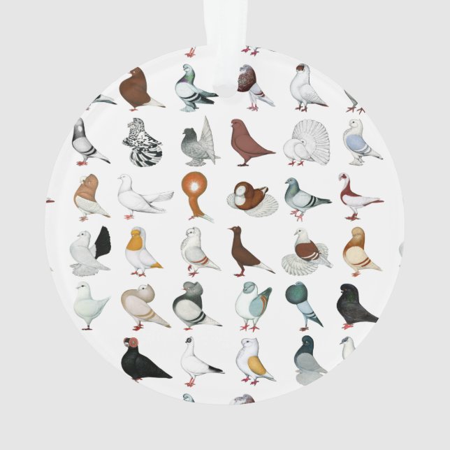 36 Pigeon Breeds Ornament (Back)
