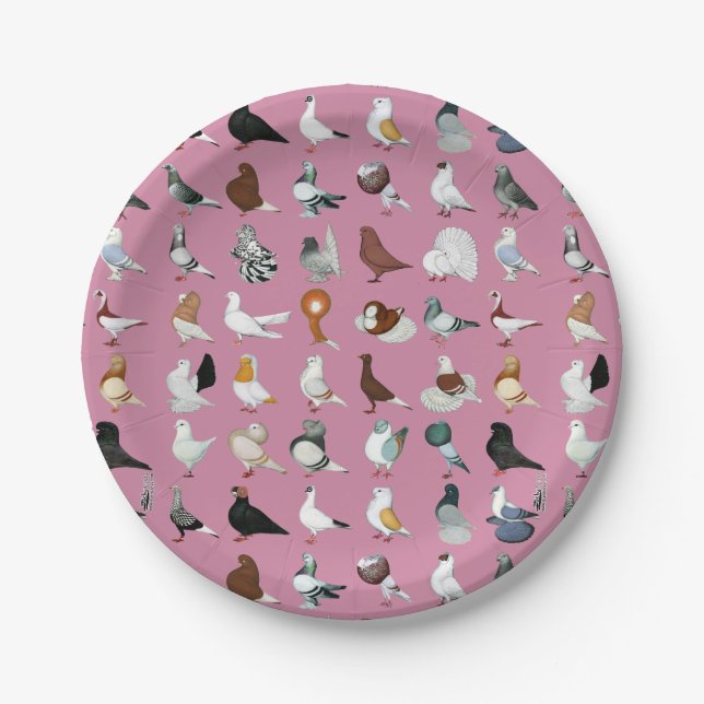 36 Pigeon Breeds Paper Plates (Front)