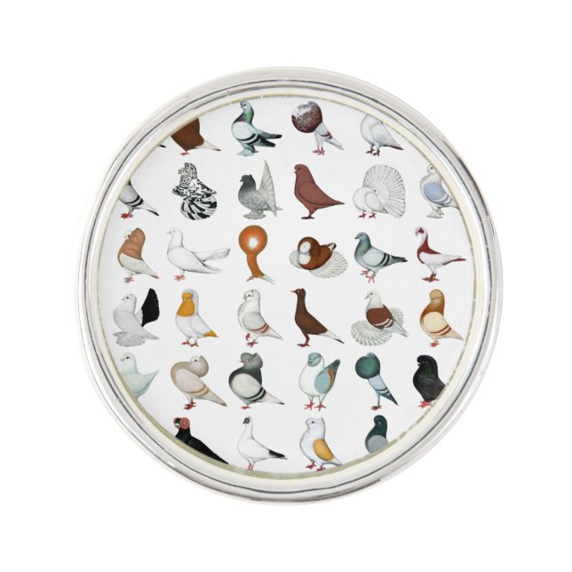 36 Pigeon Breeds Pin (Front)