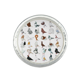36 Pigeon Breeds Ring