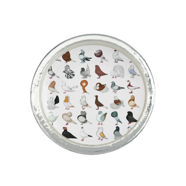 36 Pigeon Breeds Ring (Front)