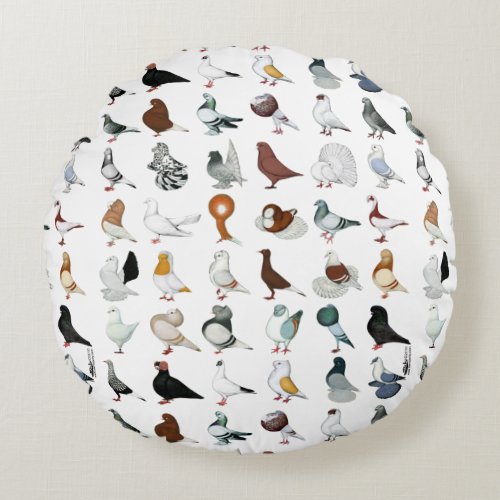 36 Pigeon Breeds Round Pillow