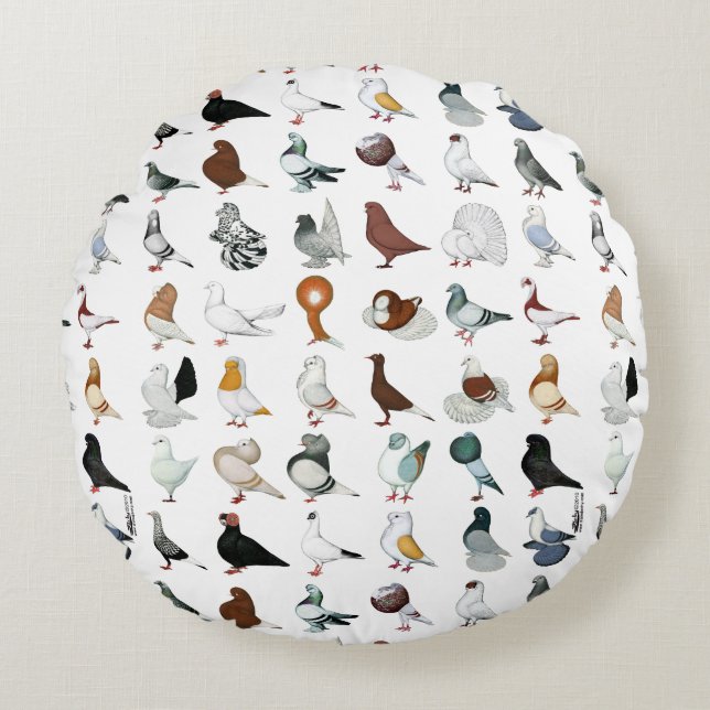 36 Pigeon Breeds Round Pillow (Front)