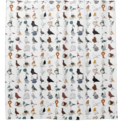 36 Pigeon Breeds Shower Curtain