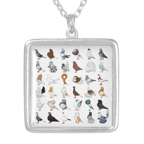 36 Pigeon Breeds Silver Plated Necklace