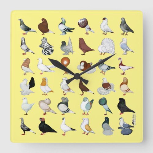 36 Pigeon Breeds Square Wall Clock