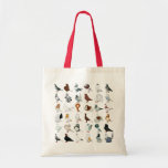36 Pigeon Breeds Tote Bag