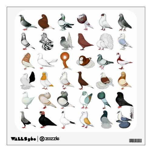 36 Pigeon Breeds Wall Decal