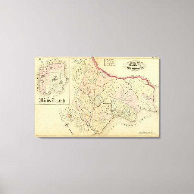 36 Ward 23 Canvas Print (Front)