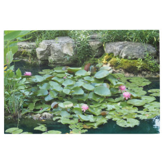 36"x24" Lily Pond Metal Print