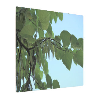 36"x24" Redbud Leaves Metal Print