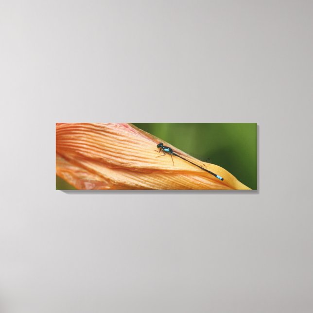 36" x 12", 1.5", Single Canvas print (Front)